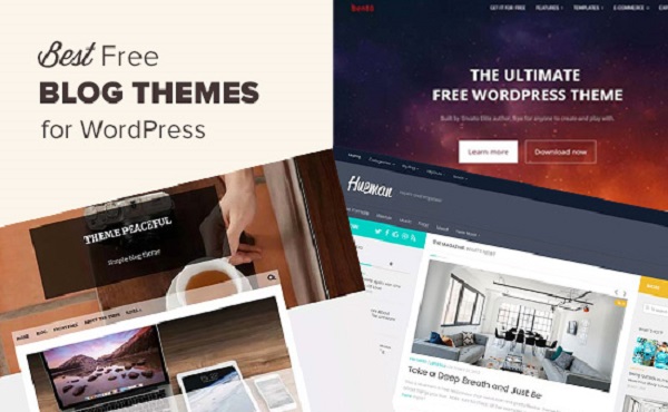 20 Best Free WordPress Blog Themes 2018